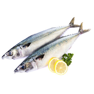 Japanese Mackerel Saba 400-600g